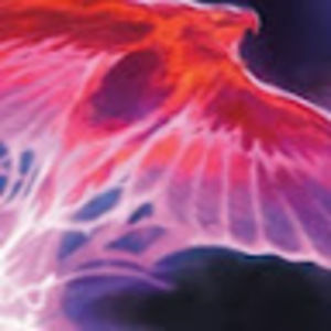 Meet your Posher, Phoenix